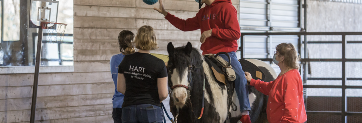Horses Adaptive Riding and Therapy